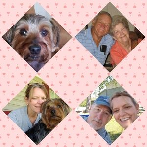 Meet your Posher, Pam